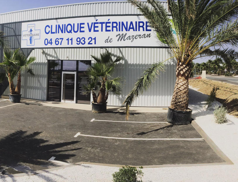 Bordure pour une clinique Vétérinaire